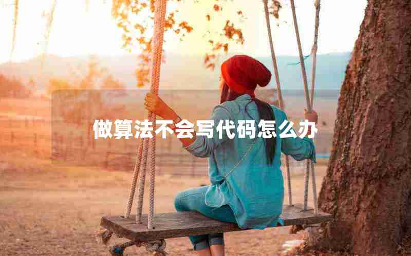 做算法不会写代码怎么办