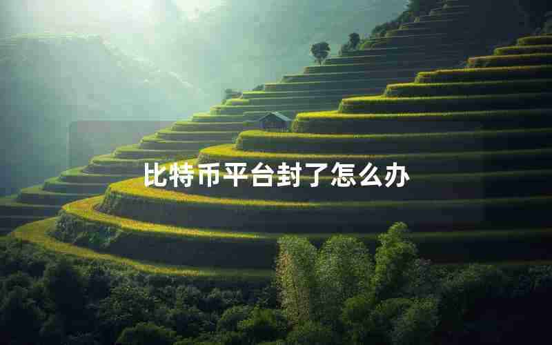 比特币平台封了怎么办 比特币平台封了怎么办