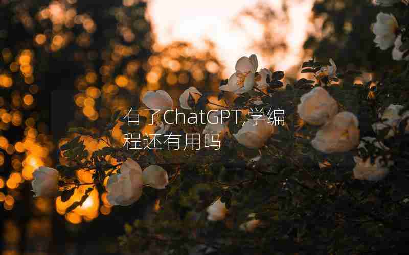有了ChatGPT,学编程还有用吗