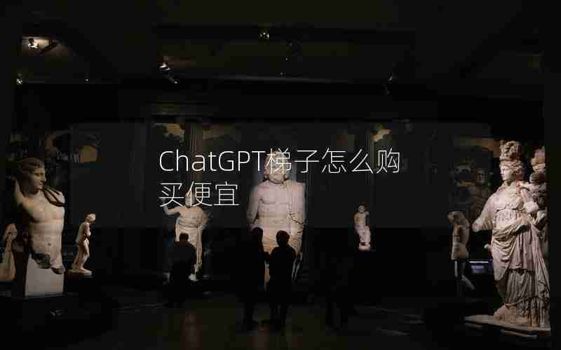 ChatGPT梯子怎么购买便宜 ChatGPT梯子怎么购买便宜