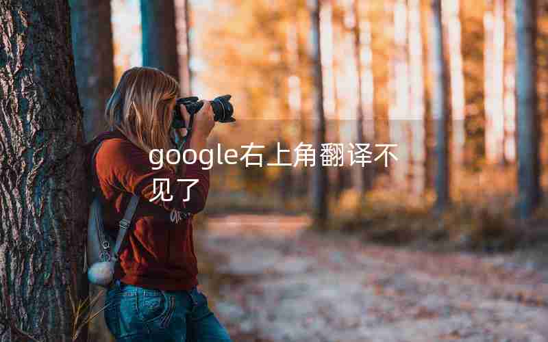 google右上角翻译不见了 google右上角翻译不见了