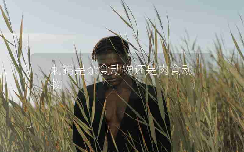 刺猬是杂食动物还是肉食动物