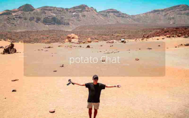 potato Chat