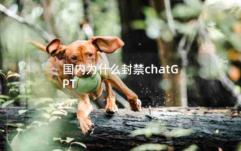 国内为什么封禁chatGPT