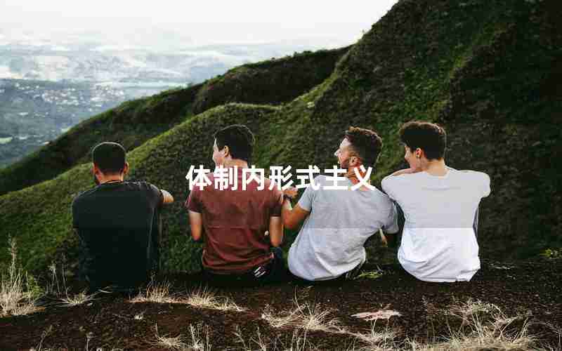 体制内形式主义