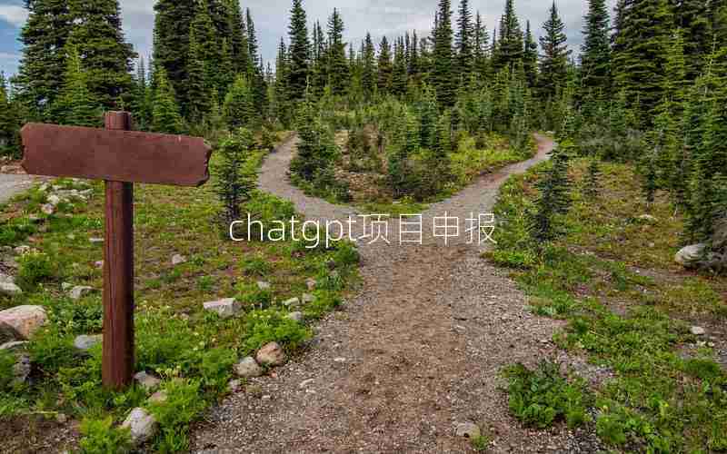 chatgpt项目申报