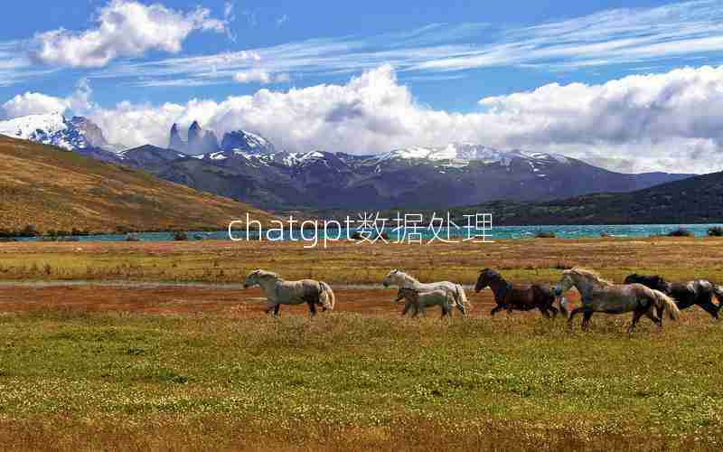 chatgpt数据处理 chatgpt数据处理