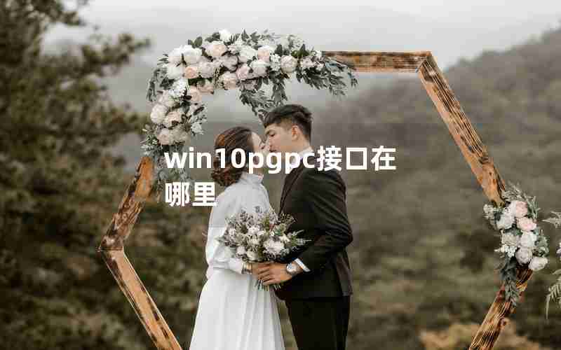 win10pgpc接口在哪里 win10pgpc接口在哪里