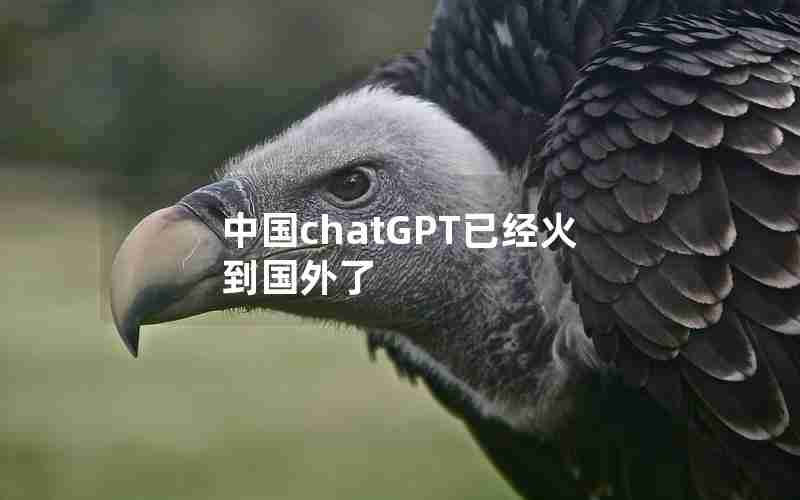 中国chatGPT已经火到国外了 中国chatGPT已经火到国外了