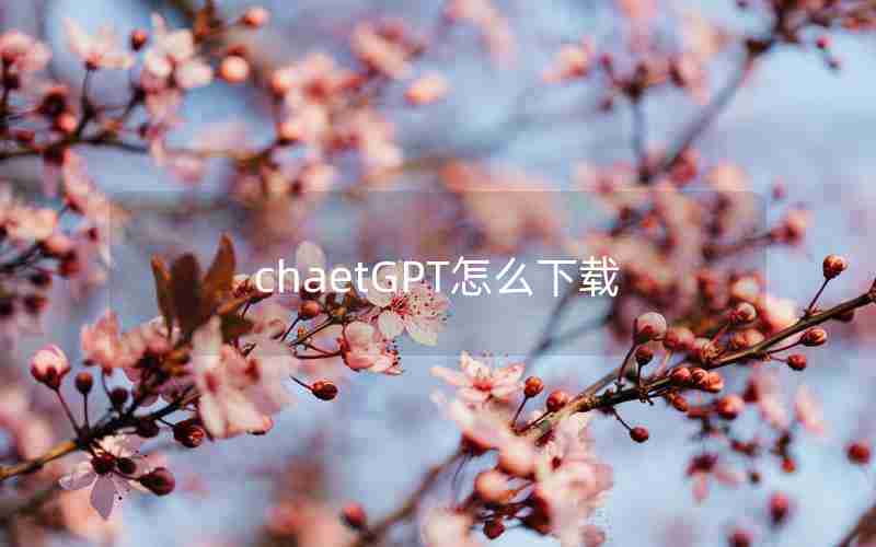 chaetGPT怎么下载 chaetGPT怎么下载