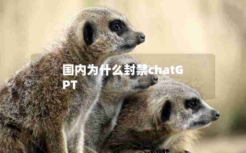 国内为什么封禁chatGPT