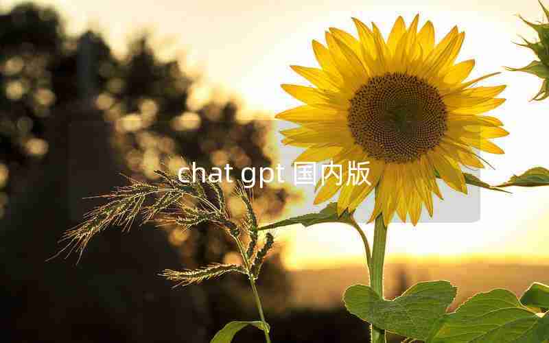 chat gpt 国内版