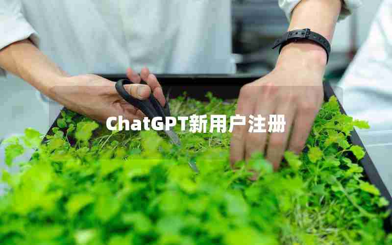 ChatGPT新用户注册 ChatGPT新用户注册