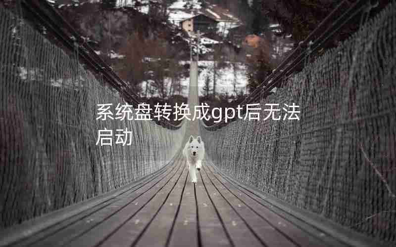 系统盘转换成gpt后无法启动