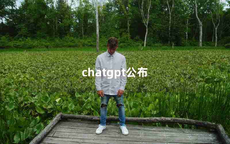 chatgpt公布 chatgpt公布