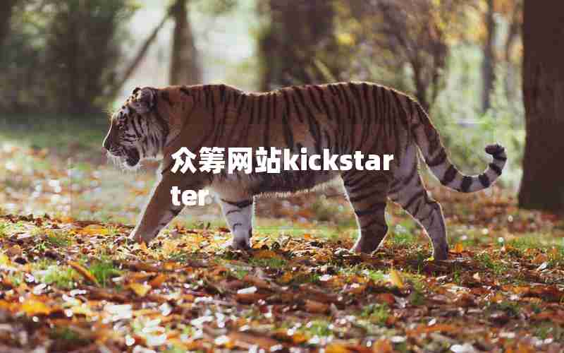 众筹网站kickstarter 众筹网站kickstarter
