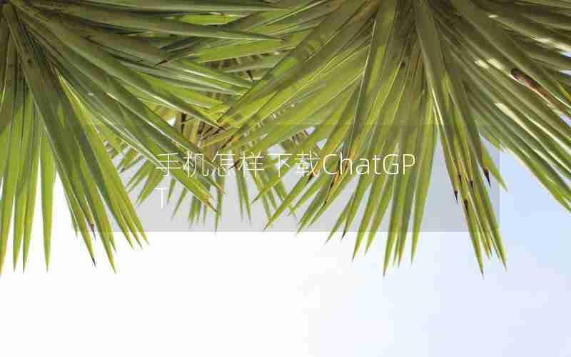 手机怎样下载ChatGPT