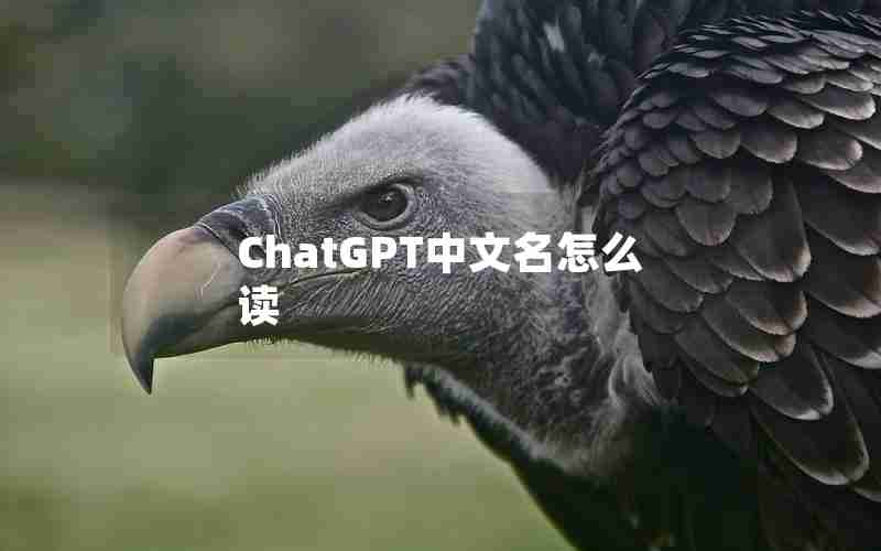 ChatGPT中文名怎么读