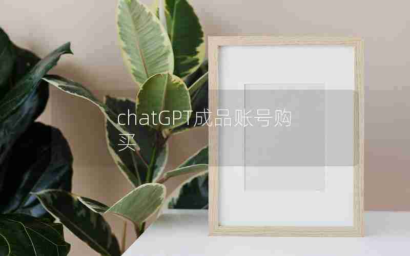 chatGPT成品账号购买 chatGPT成品账号购买