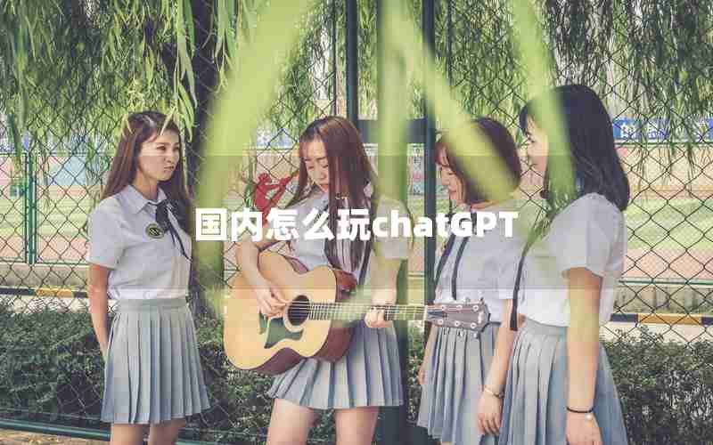 国内怎么玩chatGPT