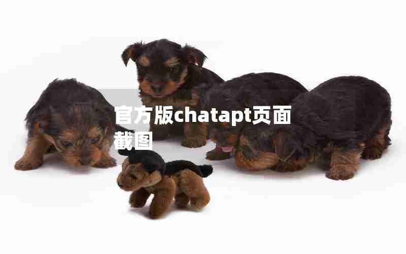 官方版chatapt页面截图