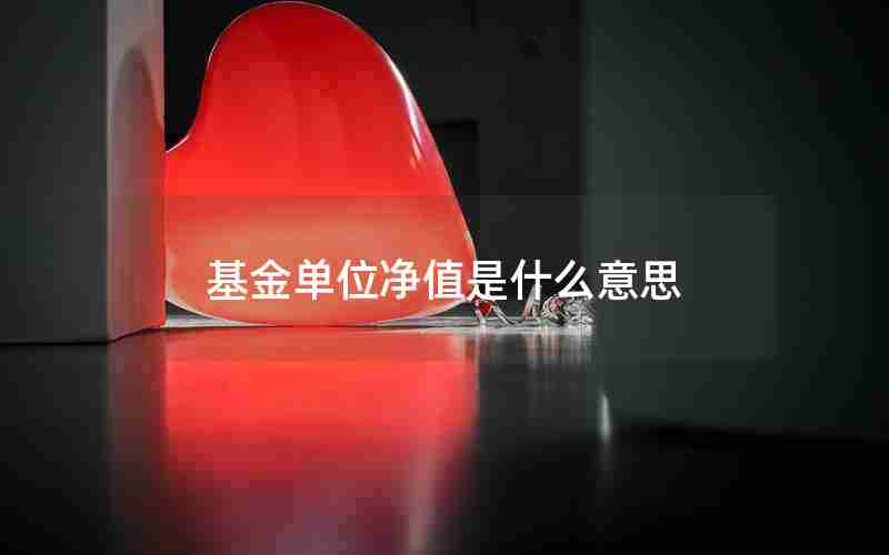 基金单位净值是什么意思