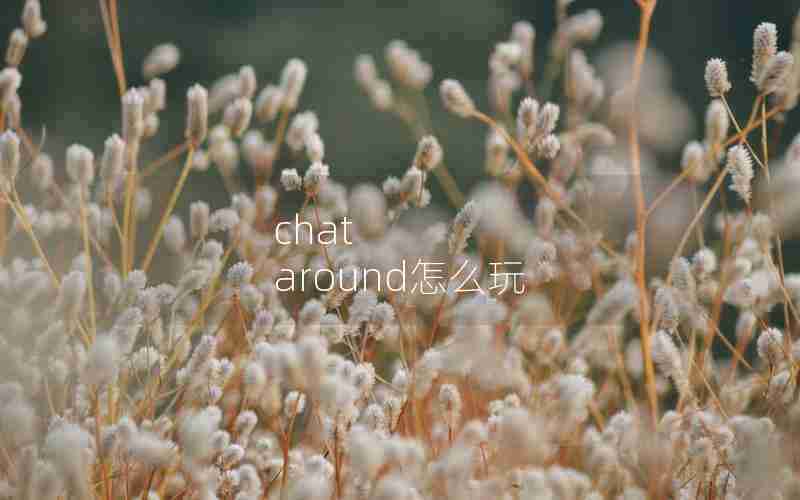 chat around怎么玩