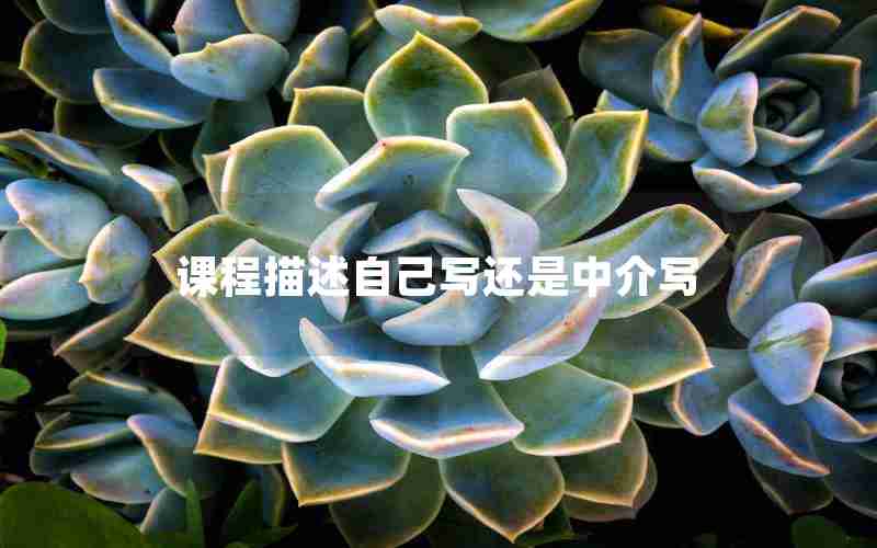 课程描述自己写还是中介写
