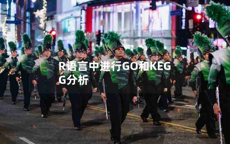 R语言中进行GO和KEGG分析