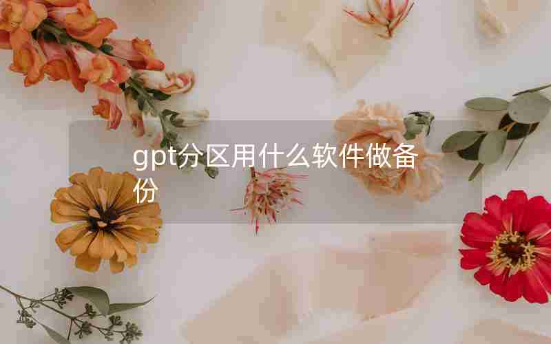 gpt分区用什么软件做备份