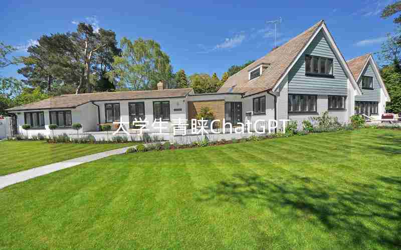 大学生青睐ChatGPT