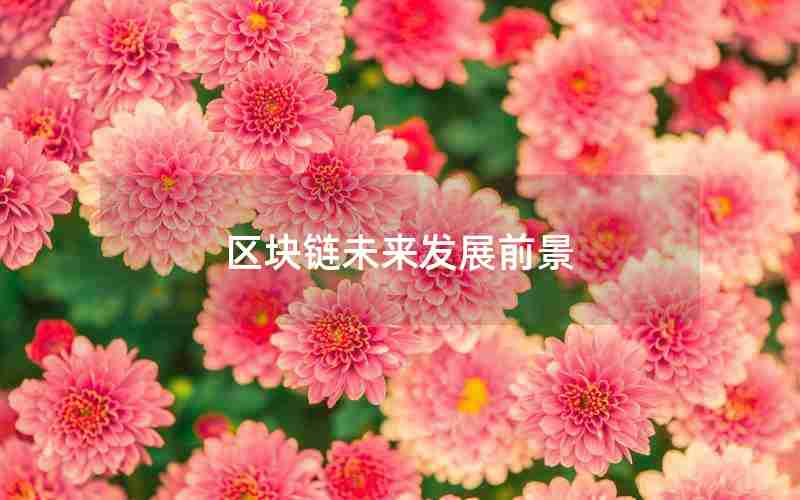 区块链未来发展前景 区块链未来发展前景