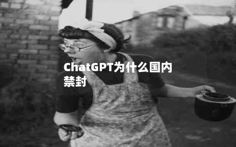 ChatGPT为什么国内禁封 ChatGPT为什么国内禁封