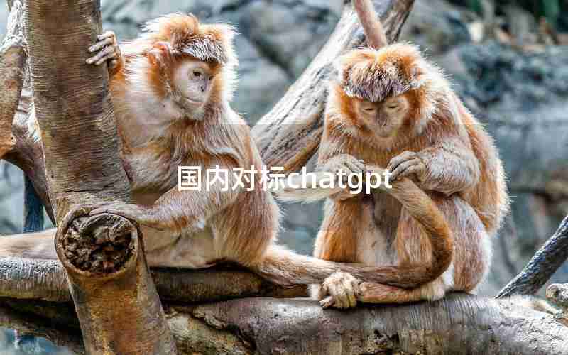 国内对标chatgpt 国内对标chatgpt