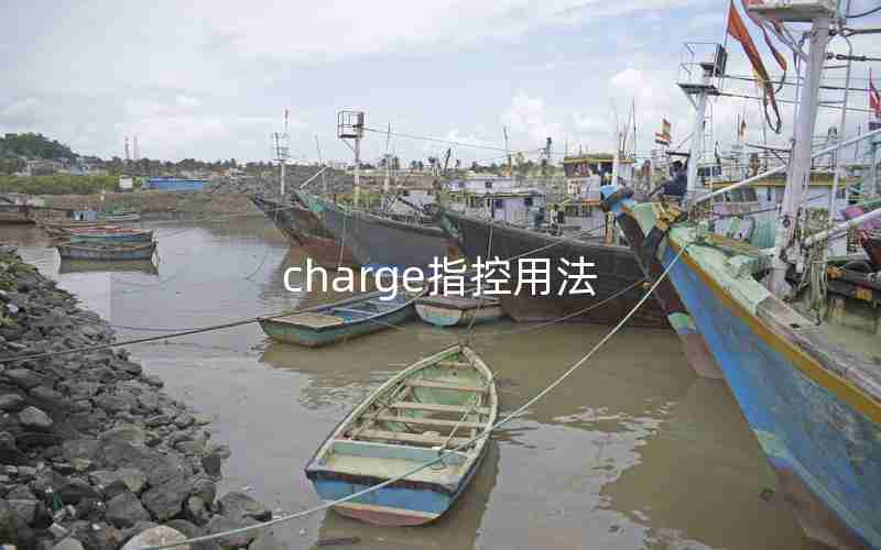 charge指控用法