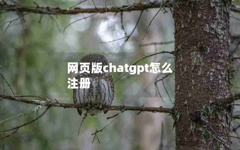网页版chatgpt怎么注册