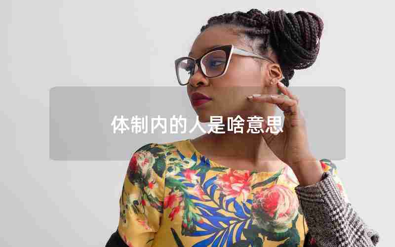 体制内的人是啥意思