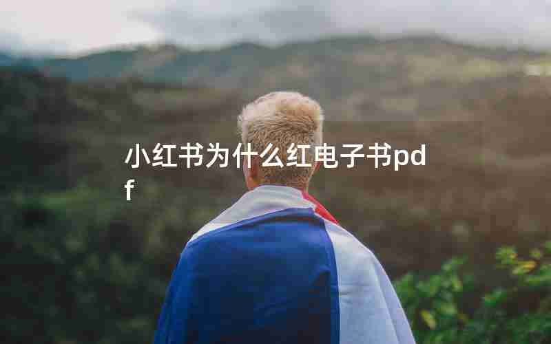 小红书为什么红电子书pdf 小红书为什么红电子书pdf