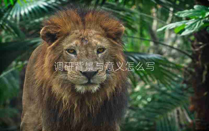 调研背景与意义怎么写