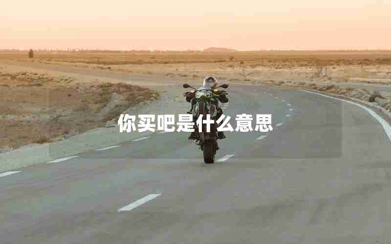 你买吧是什么意思 你买吧是什么意思