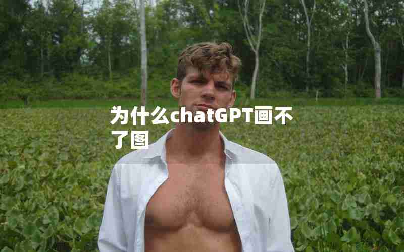 为什么chatGPT画不了图 为什么chatGPT画不了图