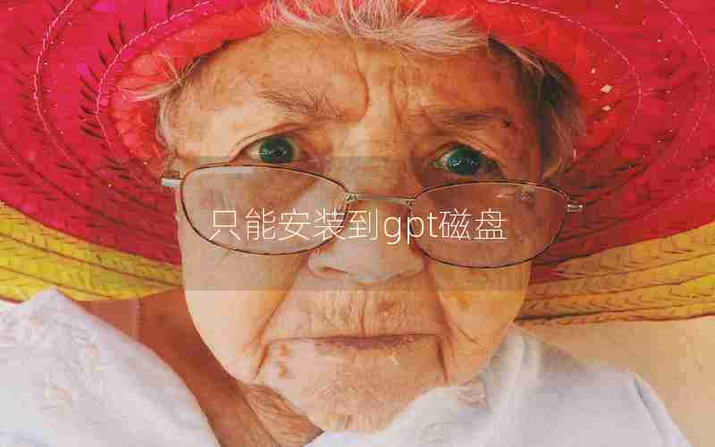 只能安装到gpt磁盘