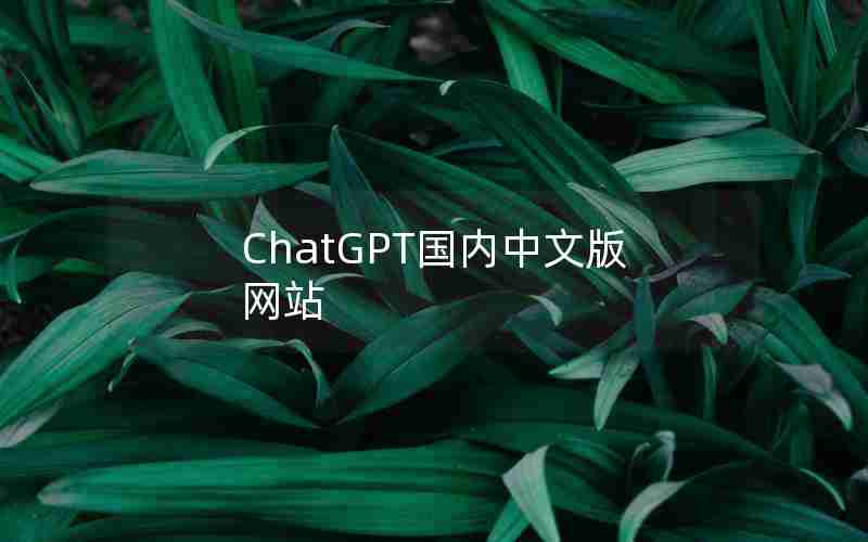 ChatGPT国内中文版网站