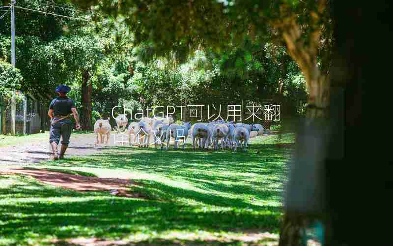 ChatGPT可以用来翻译论文吗 ChatGPT可以用来翻译论文吗