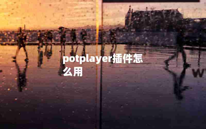 potplayer插件怎么用