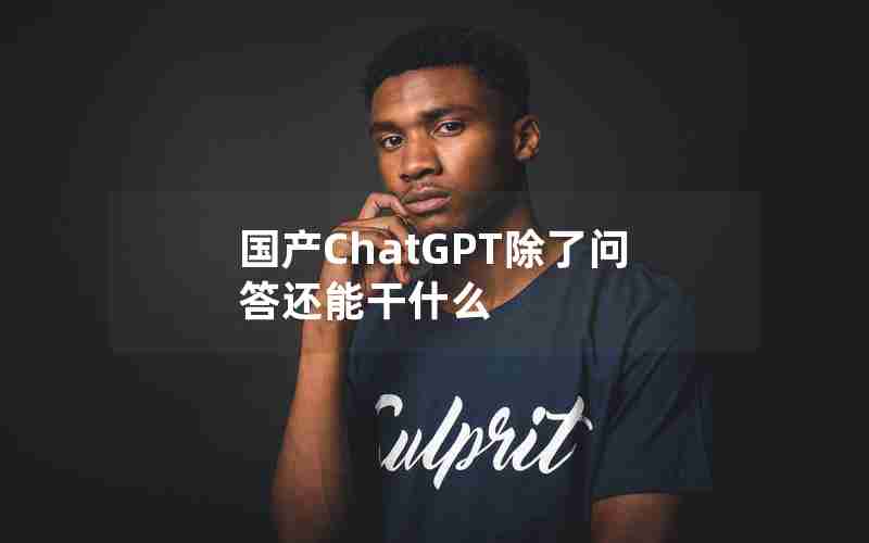 国产ChatGPT除了问答还能干什么