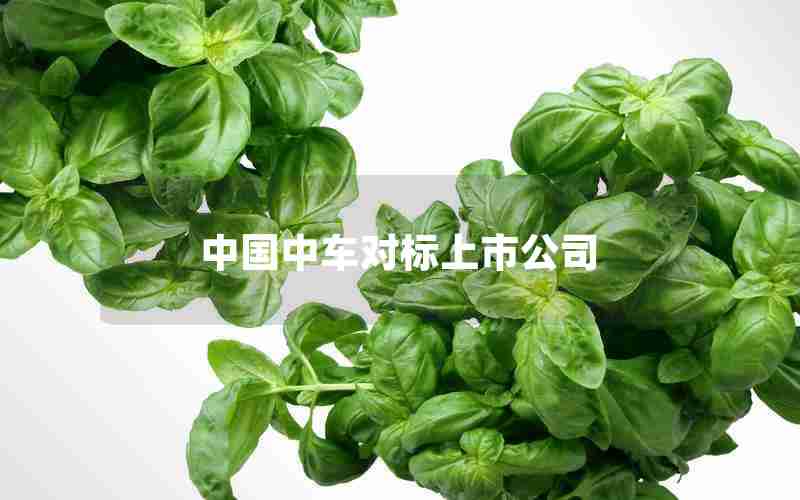 中国中车对标上市公司