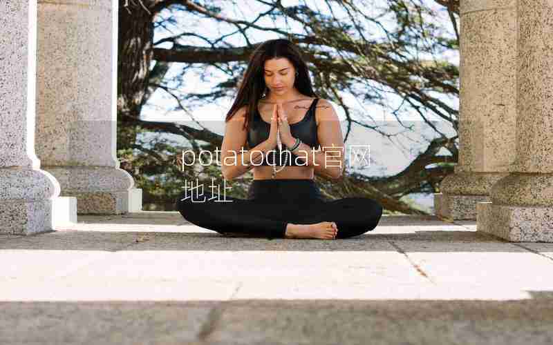 potatochat官网地址 potatochat官网地址