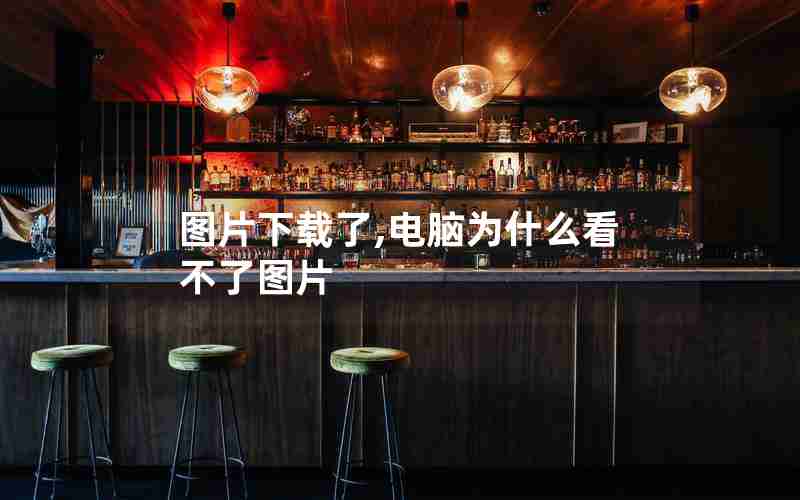 图片下载了,电脑为什么看不了图片