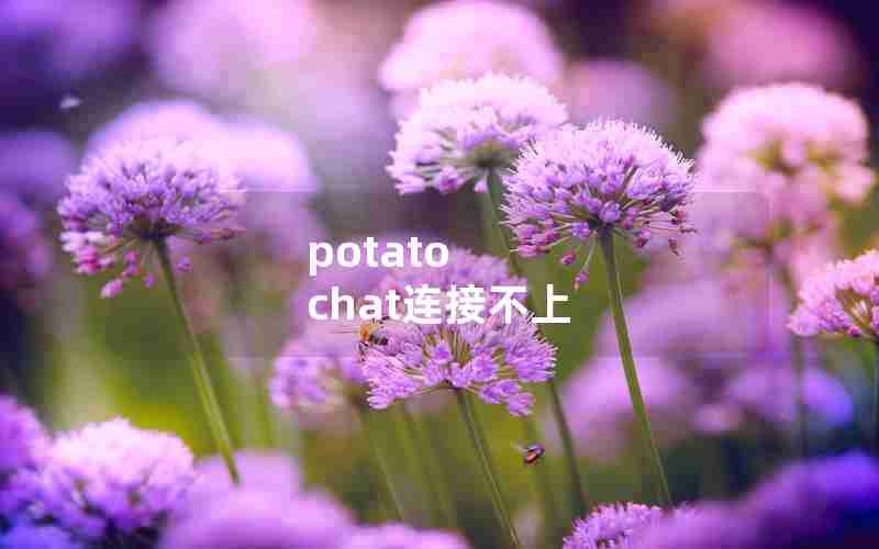 potato chat连接不上